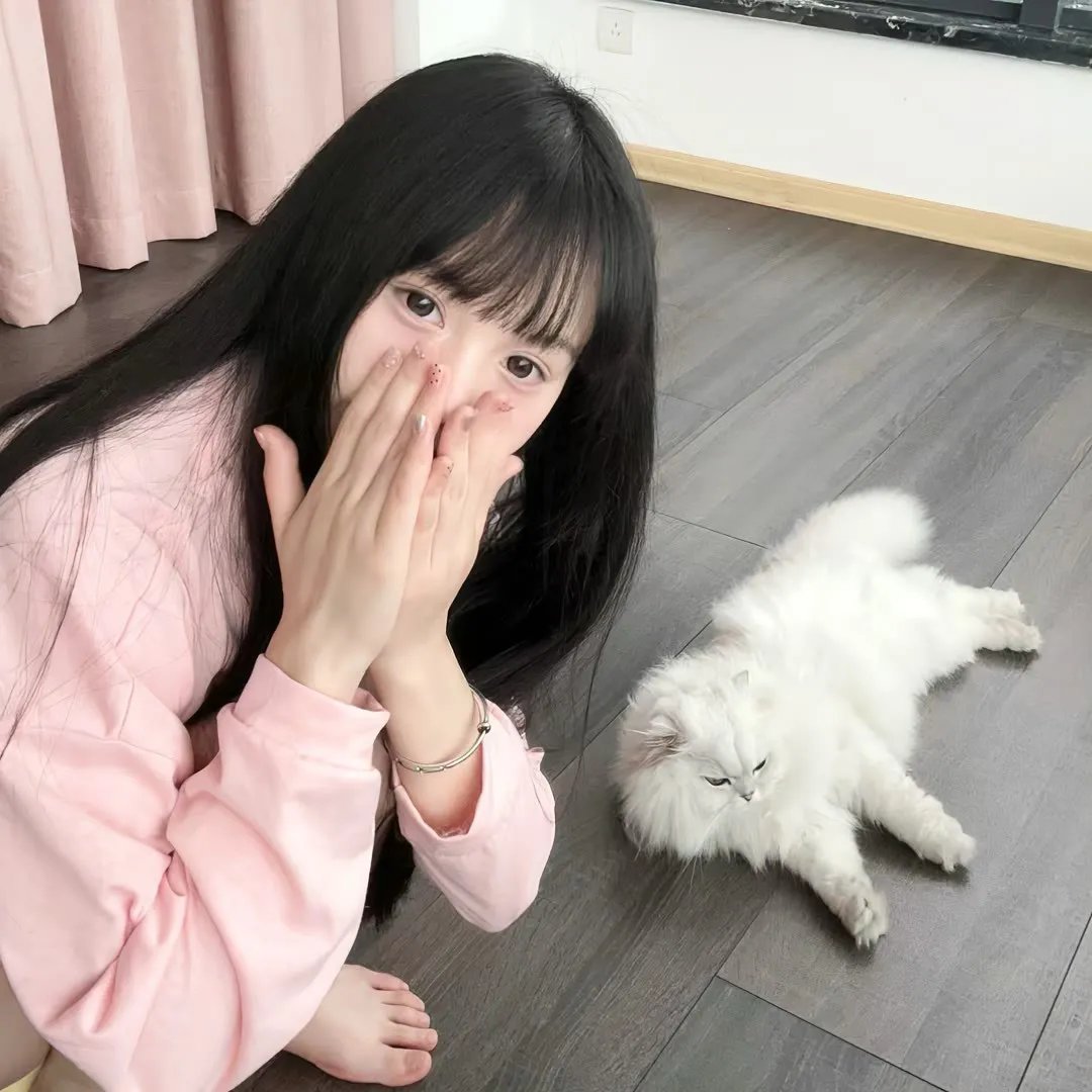 无敌当家2