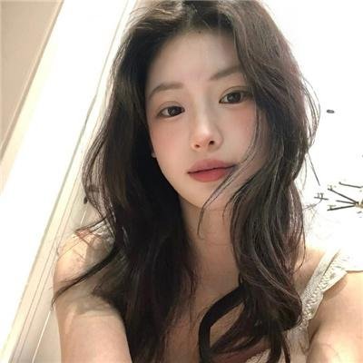 鹈鹕的故事